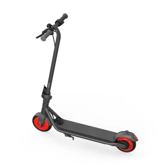 NINEBOT EKICKSCOOTER ZING C20